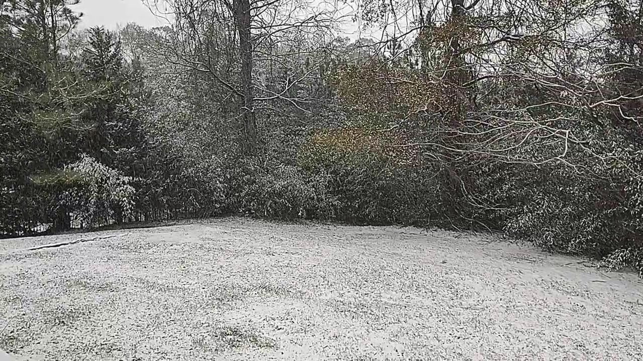 Historic Snowfall in Central Georgia - January 21, 2025