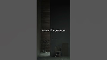 أكتب شي تؤجر عليه (القارئ: ياسر الدوسري) (سورة الشعراء)