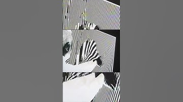 "Video Echo" Digital + Analog video feedback installation