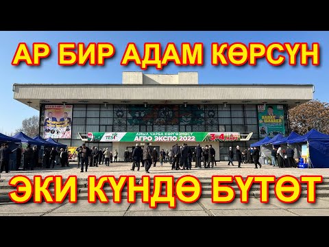 Бүгүн БАШТАЛДЫ  |  Чалкалап жатып КӨРГҮЛӨ  |  Бир КҮН гана калды  |  Эртең КЕЧКЕ ЧЕЙИН эле