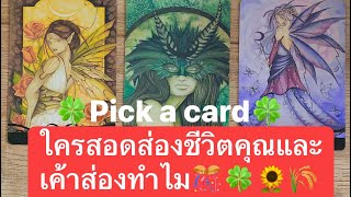 🍀Pick a card🍀 ใครสอดส่องชีวิตคุณและเค้าส่องทำไม🎊🍀🌻🌾#timeless