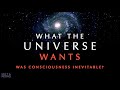 Does the universe have a purpose  consciousness documentary