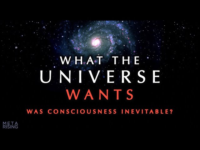 Does the Universe have a Purpose? ~ Consciousness Documentary class=