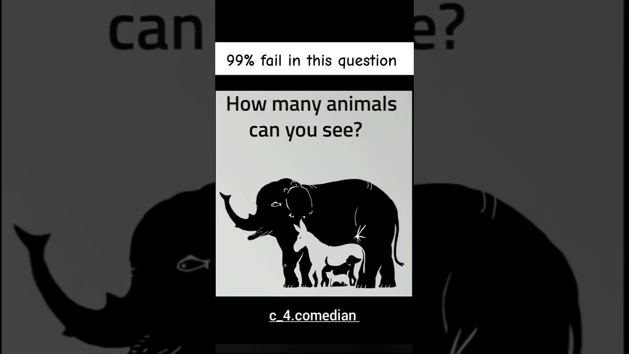 Count the animals! 🐘🔍