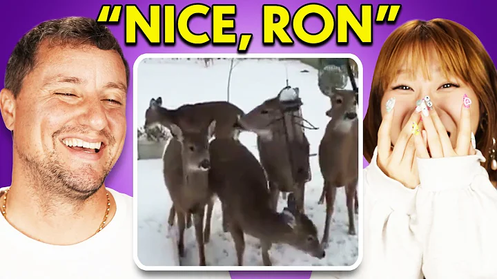 Try Not To Laugh Challenge: Craziest Internet Videos!