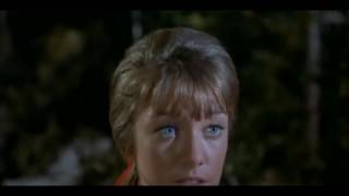 Famous Daniel Boone   S02E12   The First Beau Profile