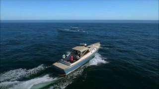 Whale Watching on a 38' Shelter Island Runabout @ Chatham Bar Inn