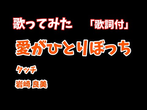 【歌ってみた】「歌詞付」愛がひとりぼっち ／ 岩崎良美　「タッチ」