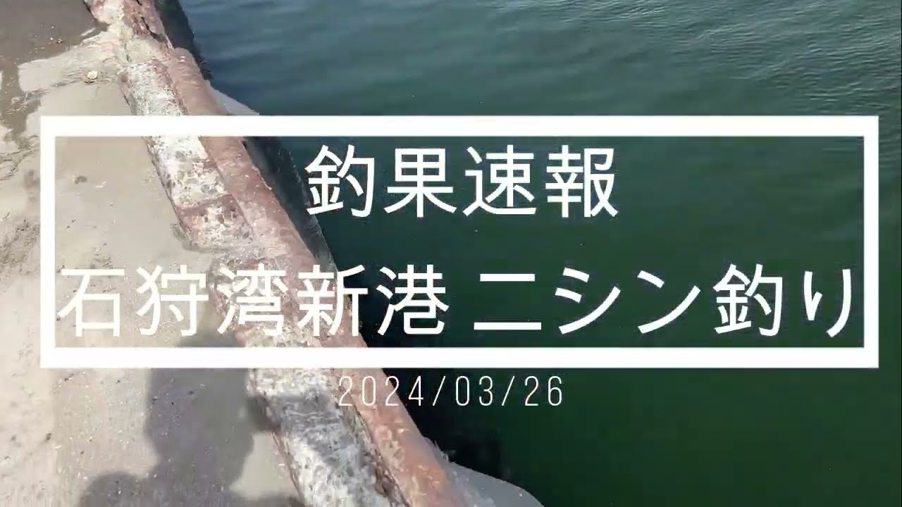 釣果速報】2024年3月26日石狩湾新港ニシン釣りー群来ってるのは本当か 