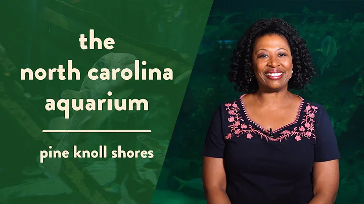 Sharks, Stingrays, Lion Fish, Oh My! Visit the NC ...