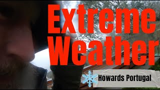 Surviving a Storm & Checking Our Trees - Too Wet For Us!
