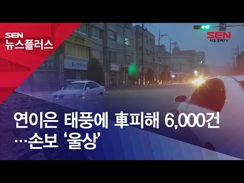 연이은 태풍에 車피해 6,000건…손보 ‘울상’