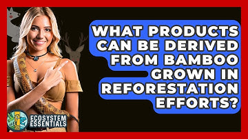 What Products Can Be Derived From Bamboo Grown In Reforestation Efforts? - Ecosystem Essentials