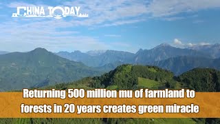CHINA TODAY EP03: Returning 500 million mu of farmland to forests in 20 years creates green miracle