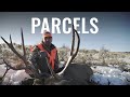 PARCELS - A Colorado 4th Season Rifle Mule Deer Hunt