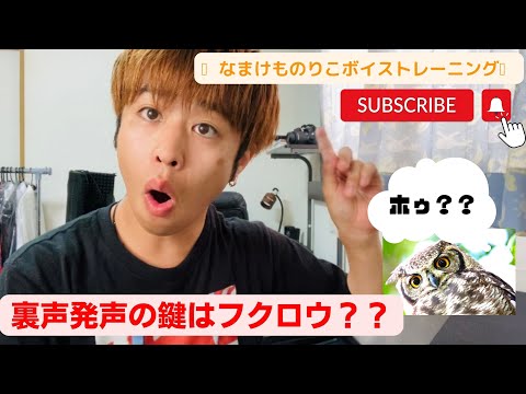 【正しい裏声の出し方】ボイトレ初心者でも安心　なまけものりこボイストレーニング
