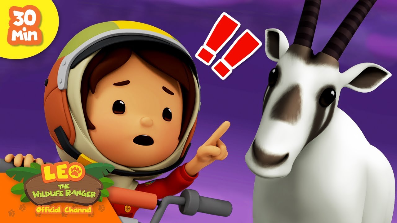 MEET THE HORSE FAMILY! 🐎🐴 | Equidae Animals | Leo the Wildlife Ranger | Kids Cartoons