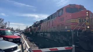 Famous Long 5 engine BNSF manifest chugs through Loveland Colorado on the Front Range Sub Profile