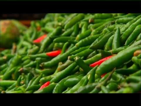 Vidéo YouTube