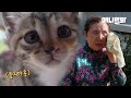 마음의 눈으로 키운 11마리의 고양이들과 오늘 헤어집니다ㅣSightless Grandma And 11 Cats (True Touching Story)