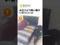アカデミー賞級の演技をする嫁がいるらしいw