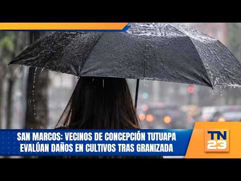 San Marcos: Concepción Tutuapa residents assess crop damage following hailstorm