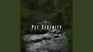 Zen Flow for Serene Paws