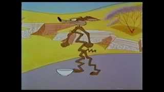 Wile E.coyote Flattened