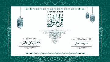 || أمن يجيب المضطر إذا دعاه || القارئ : شعيب البدر
