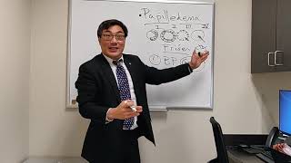 Download Lagu Papilledema MP3