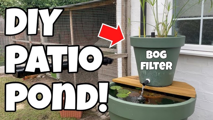 DIY Plastic Container Goldfish Pond 