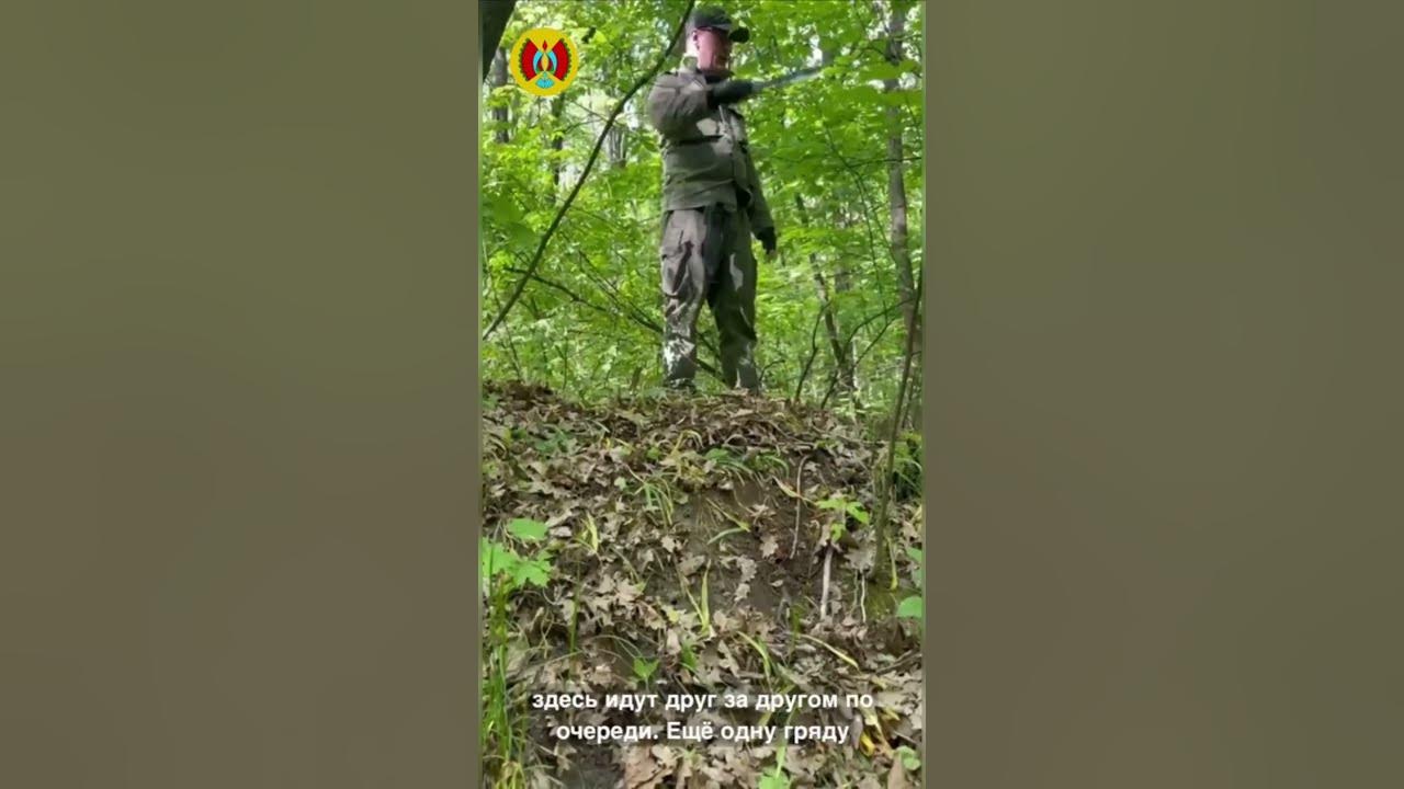 Скифские курганы - YouTube