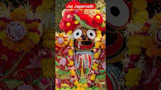 Jay Jagannath Darshan #short #shorts #shortvideo #jagannath #jagrnath #jagan #jagannathtemple