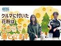 クルマに花粉が付いてる！これだけで車の花粉が取れちゃいます | セントラル 中央自動車工業