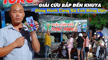 MẤT ĂN MẤT NGỦ VÌ BẮP KHÔNG AI MUA,THÉP QUYẾT TÂM BÁN HẾT BẮP GIẢI CỨU GIÚP ĐỞ BÀ CON LẤY LẠI VỐN