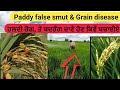 Paddy false smut, Grain disorder disease pre-management