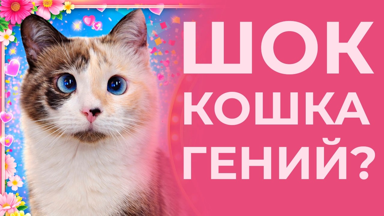 АПЛОДИРОВАЛИ всем домом, Мурпи показала КОНЦЕРТ