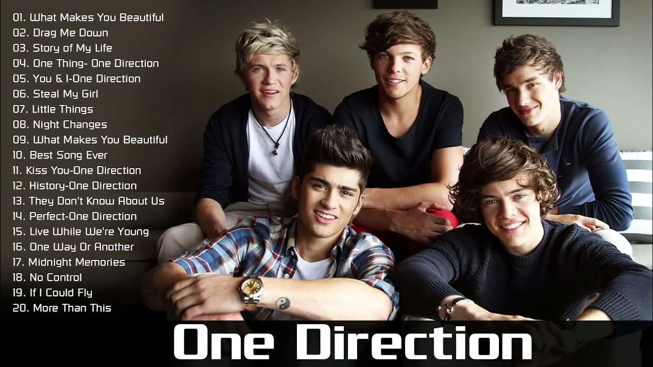 This one song. Best Direction. One Direction песни. One Direction take me Home. Long Direction.