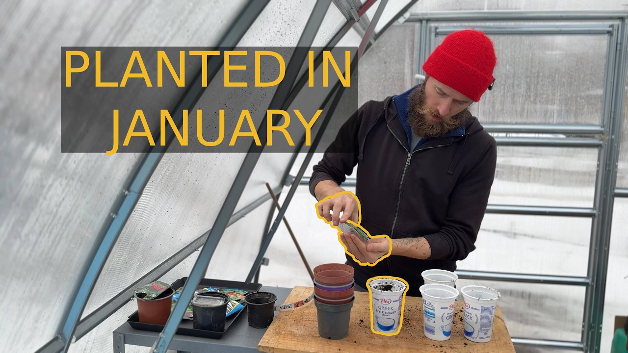 January Planting: Fix Last Year’s Mistakes Before Spring Chaos Hits