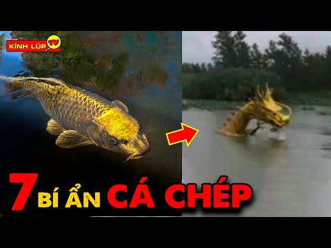 Video: Cuộc chiến giữa các hoàng tử Nga: một mô tả ngắn gọn, nguyên nhân và hậu quả. Sự khởi đầu của cuộc chiến tranh giữa các công quốc Moscow