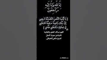تلاوةمن سورة النحل لشيخ ماهر_المعيقلي #اللهم_نسألك_العفو_والعافية #ماهر_المعيقلي #اكسبلور #تيك_توك