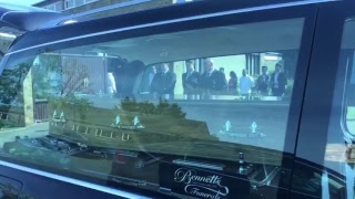 Magnavision Tv Live Stream