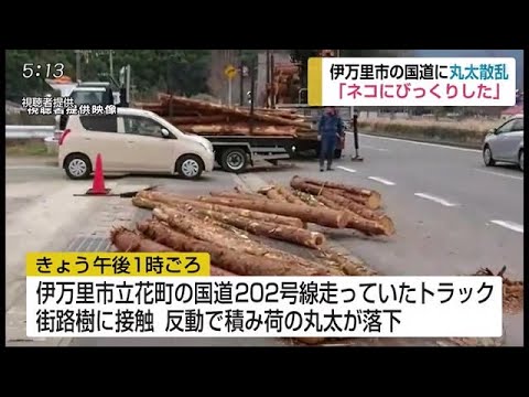 飛び出してきた猫よけたら...トラックから丸太落下【佐賀県伊万里市】 (20/03/13 18:00) - 飛び出してきた猫よけたら...トラックから丸太落下【佐賀県伊万里市】 (20/03/13 18:00)