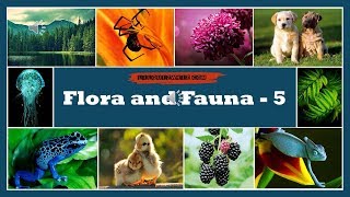 Lilquizwhiz | Flora and Fauna - 5 | Fun Quiz | Quiz for kids | Olympiads & Competitive Exams Prep screenshot 4
