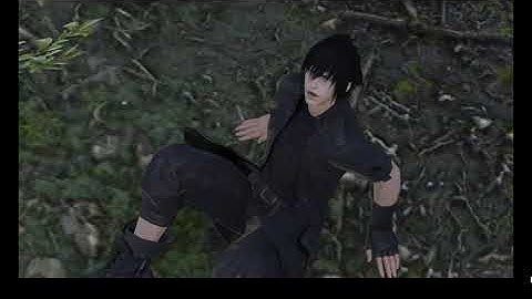 Noctis In Eorzea: Yi-Kai Watch! Gather One, Gather All!