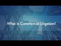 Attorney Roy Oppenheim demystifies the term "commercial litigation," highlighting various scenarios such as disputes between businesses, service quality concerns, issues with overseas vendors, partner disagreements, and complications in business transactions....