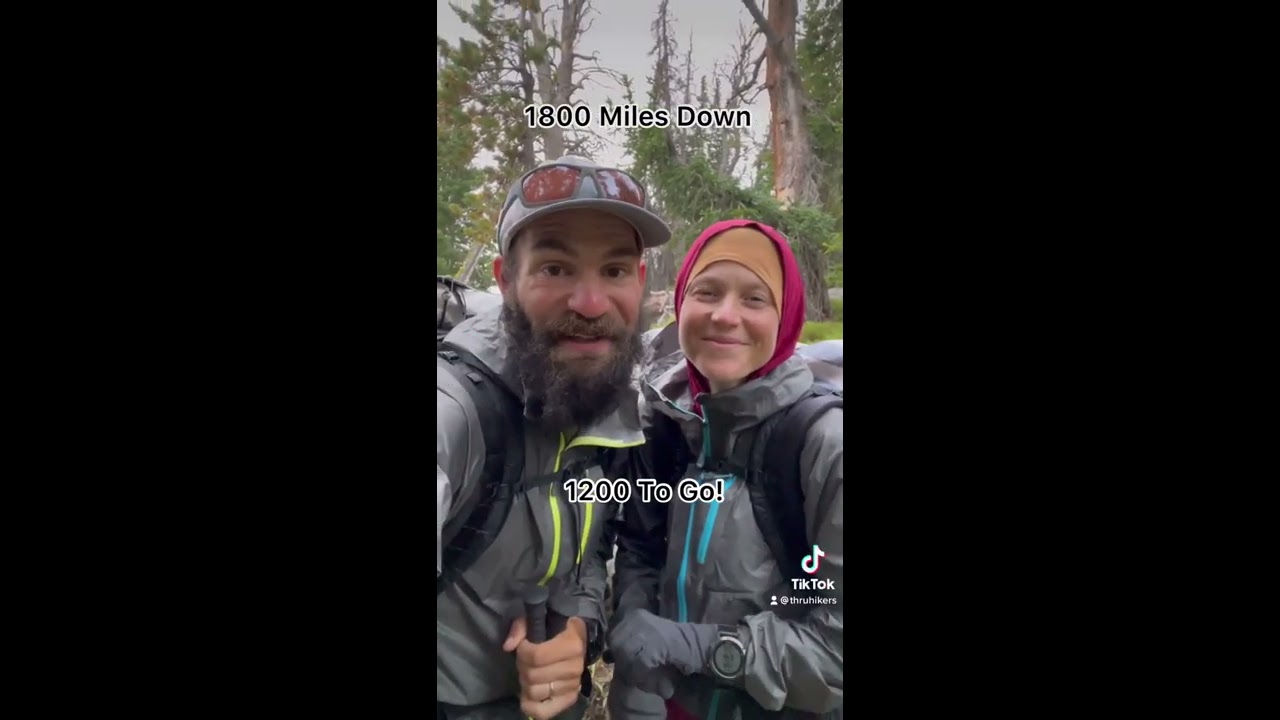 CDT Vlog 60 Update