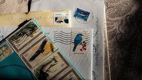 Remove Stamps from Envelopes Like a Pro 💌
