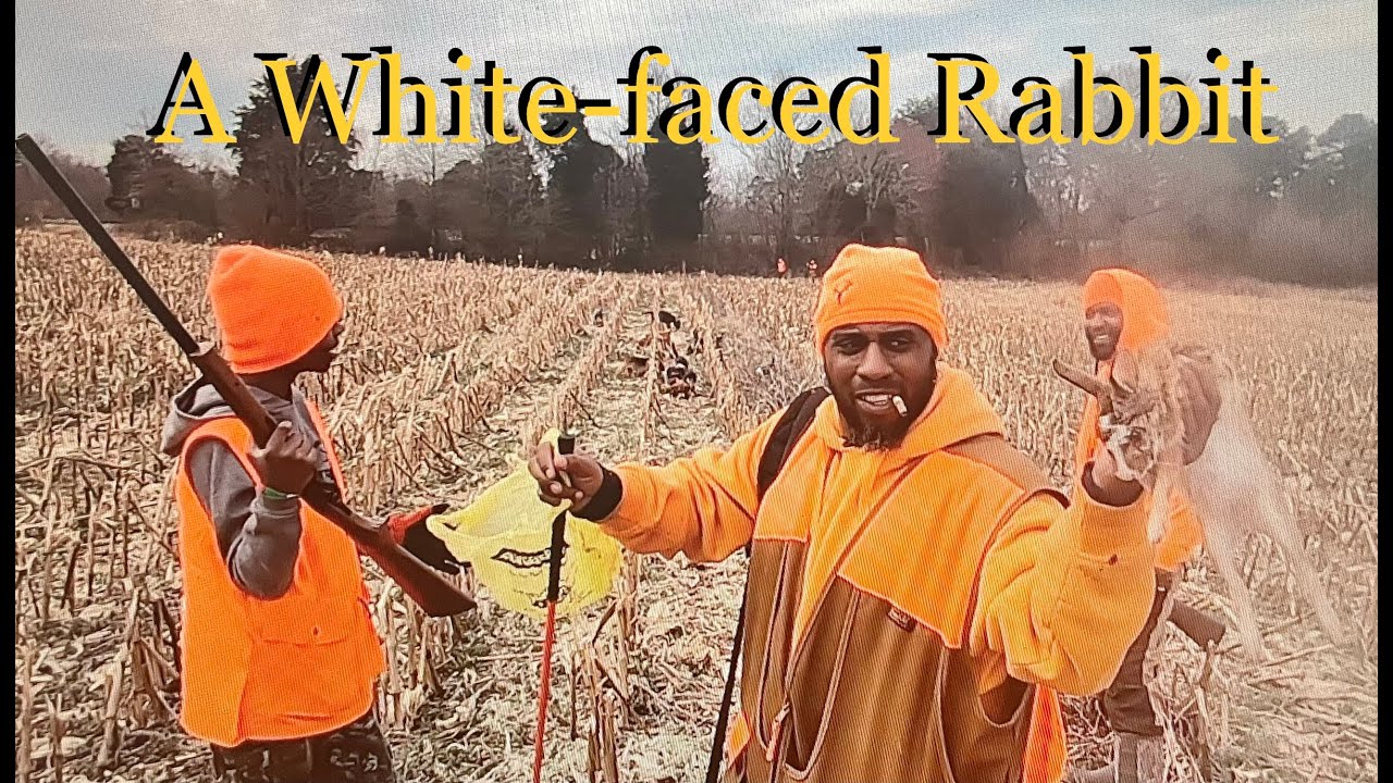 Rabbit Season Nc | Hunting in North Carolina [Season Guide 2025] – RYJIWN