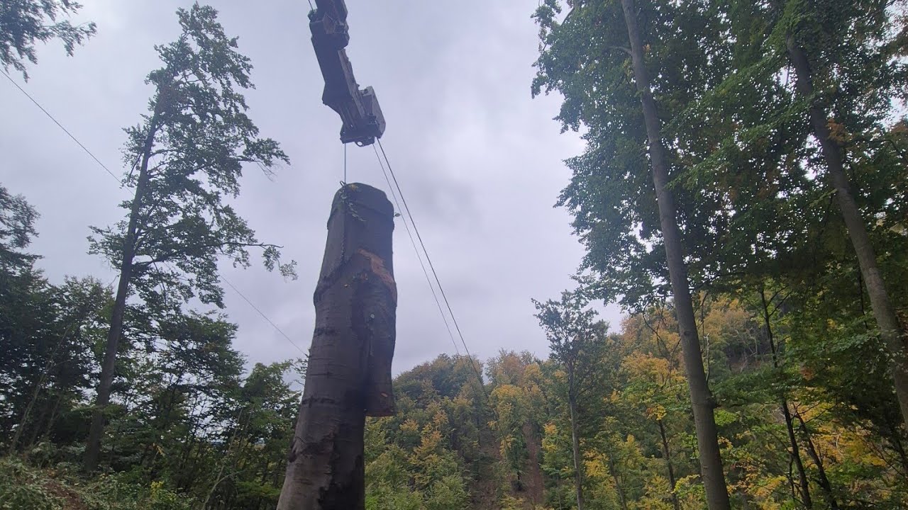 Ťažba v kopci pokračuje! S lanovkou bojujem s drevom aj terénom. Časť 2